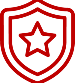 shield icon